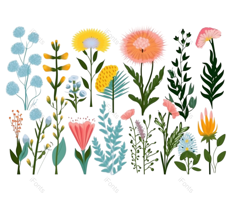 叶子图片,插画元素,唯美PNG,花卉免抠素材